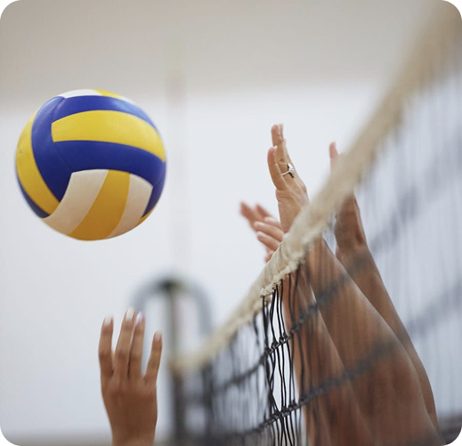 по волейболу